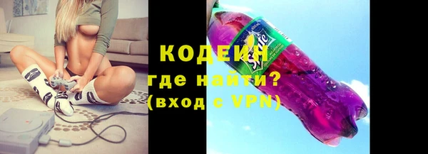 дживик Богородицк