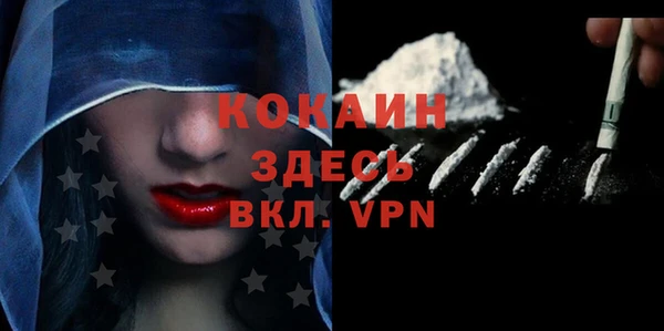 дживик Богородицк