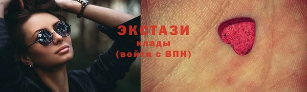 дживик Богородицк