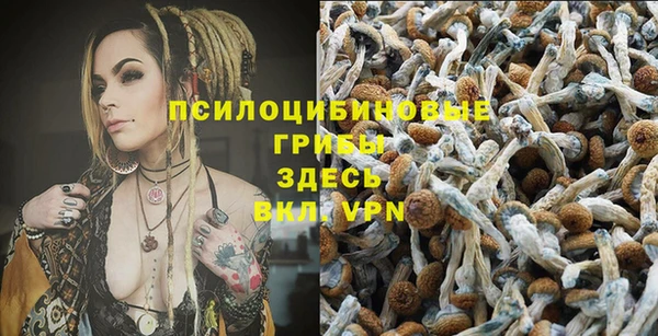 хмурый Белокуриха