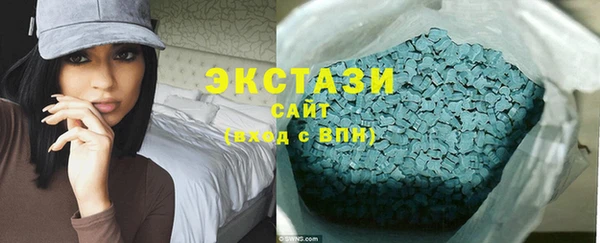 дживик Богородицк