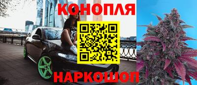ПСИЛОЦИБИНОВЫЕ ГРИБЫ Нальчик