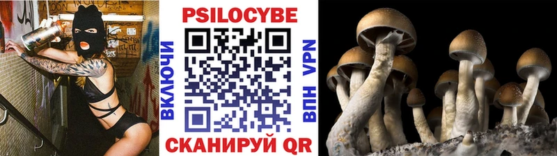 Галлюциногенные грибы мухоморы  Городец 