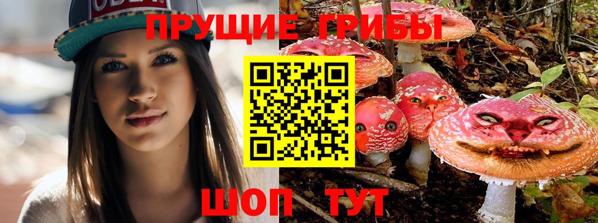 Городец  Псилоцибиновые грибы ЛСД  Вход с VPN 